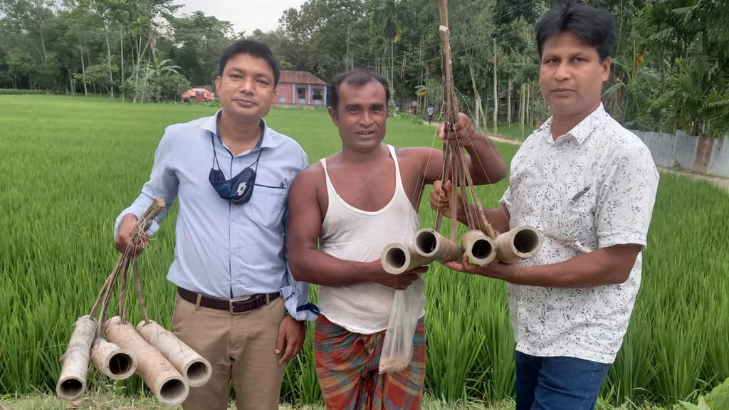 ইঁদুর নিধনে জনপ্রিয় হচ্ছে ‘চোঙ্গা ফাঁদ’