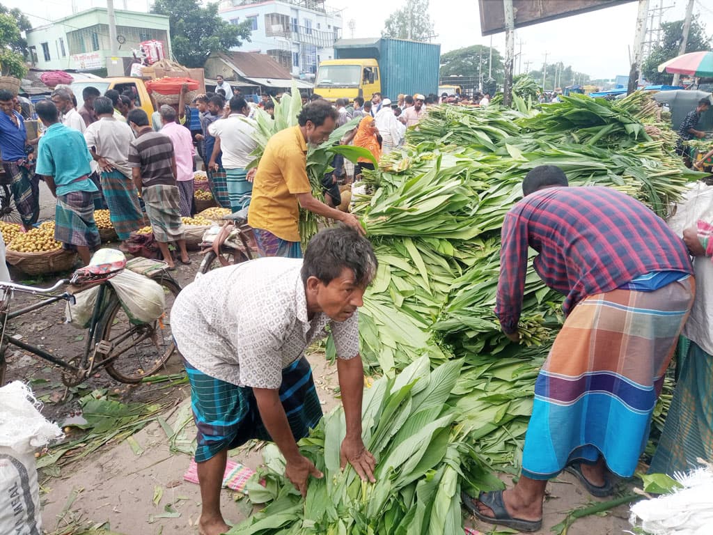 দিনের ছবি (২৩ জুলাই, ২০২৩)