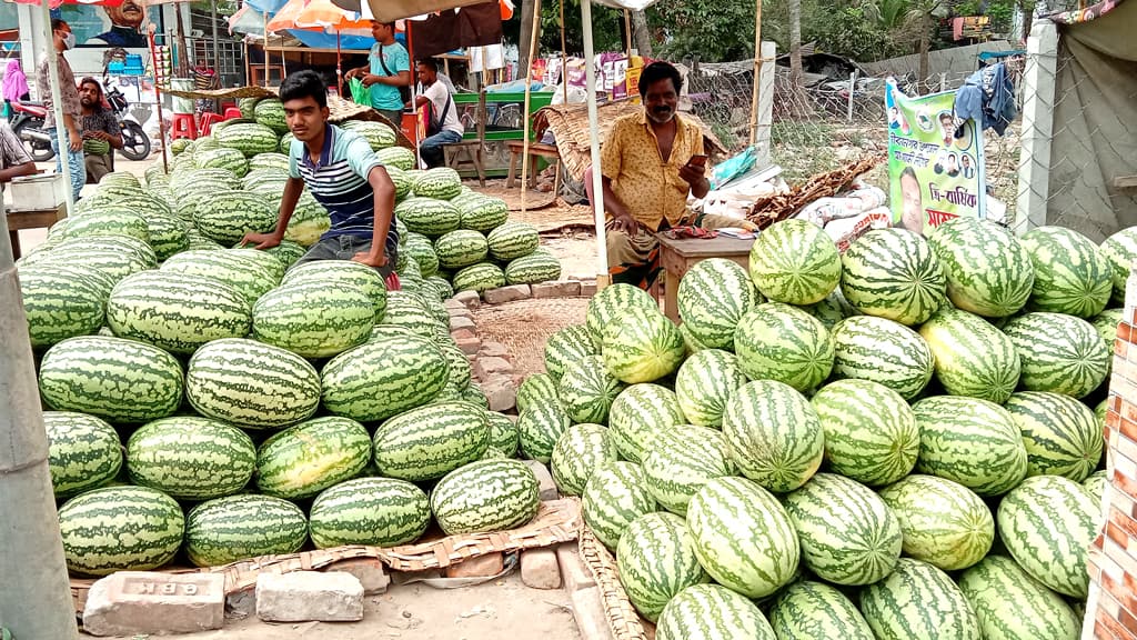 জীবননগরে কেজিতে বিক্রি হচ্ছে তরমুজ, দাম চড়া