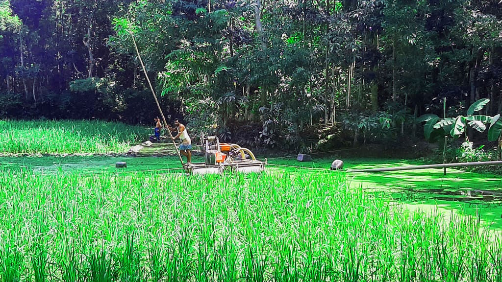 অবৈধভাবে বালু উত্তোলন