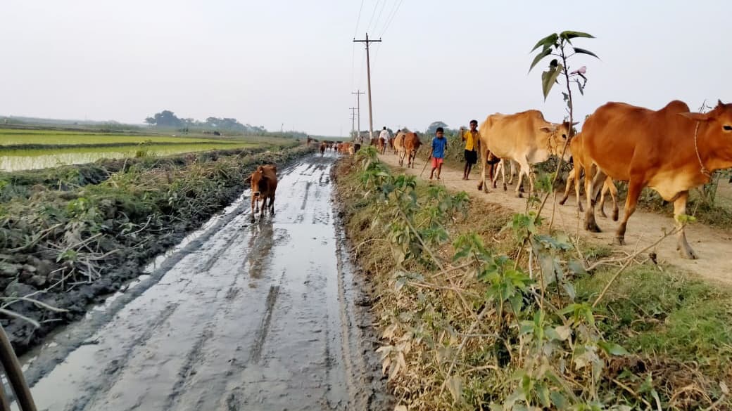 জমির পানি সড়কে চলাচলে ভোগান্তি