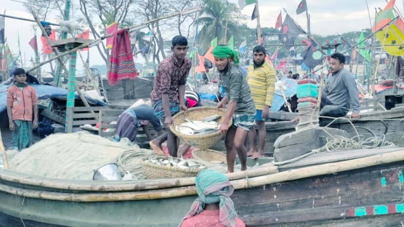 ৭ থেকে ২৮ অক্টোবর ইলিশ ধরা নিষিদ্ধ