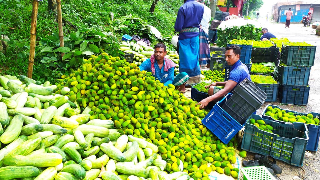 বাজারে সবজির দাম কম হতাশ শিবপুরের কৃষকেরা