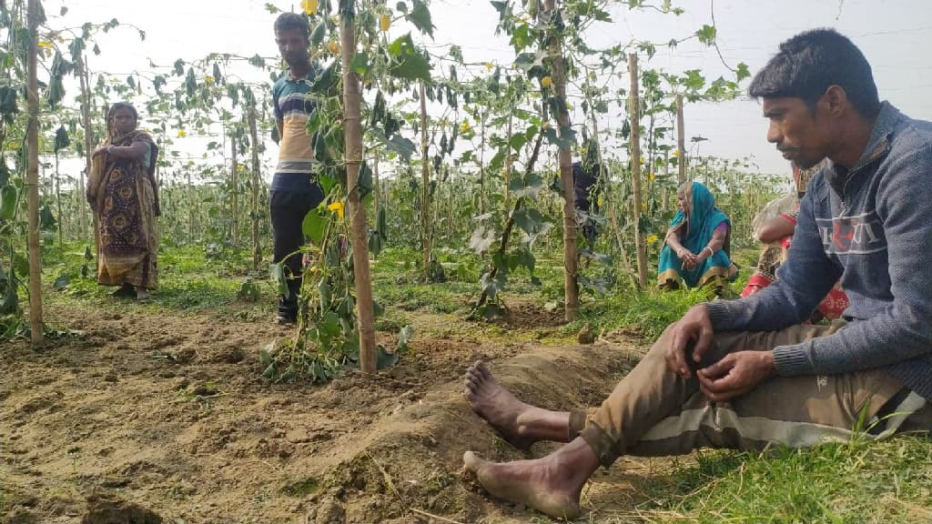 কলমাকান্দায় কৃষকের ২৫০০ কুমড়াগাছে ‘বিরোধের’ কোপ