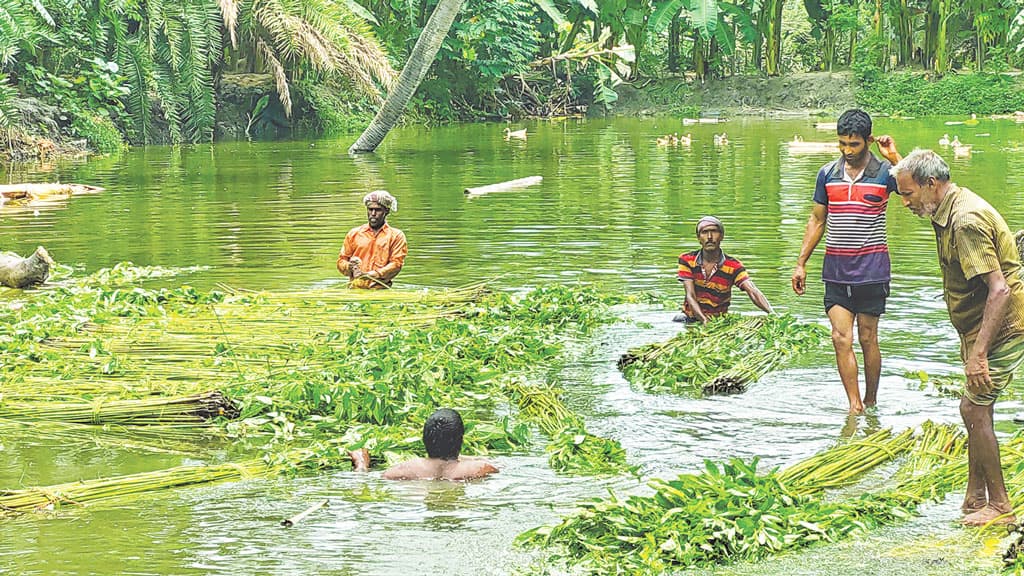 অসময়ে প্রণোদনার সার, ক্ষোভ