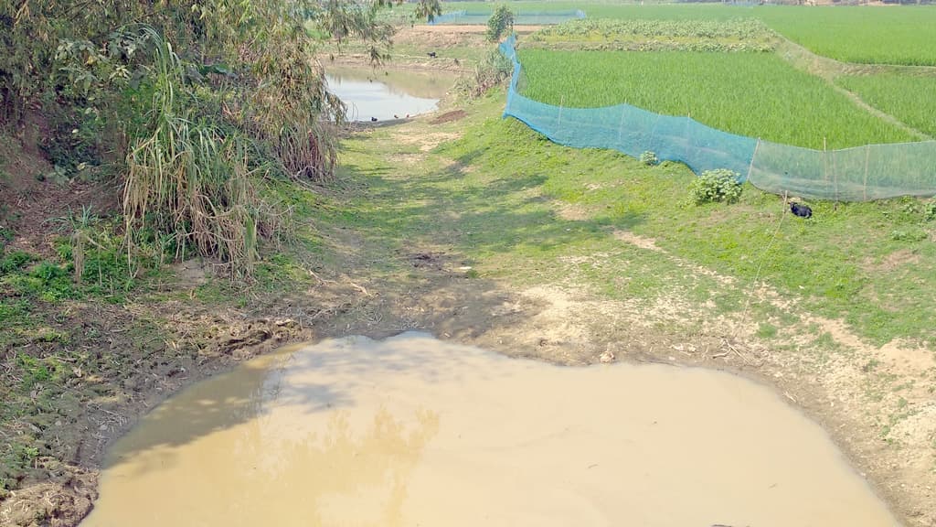 গাংগে পানি আহে ভাটি থাইকা