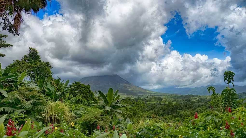 আদিবাসী সম্প্রদায়ের কাছেই নিরাপদ বনাঞ্চল 