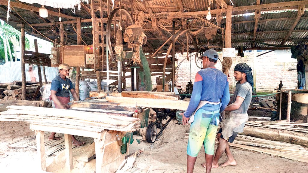 অবৈধ করাতকলে ধ্বংসের মুখে সংরক্ষিত বনভূমি