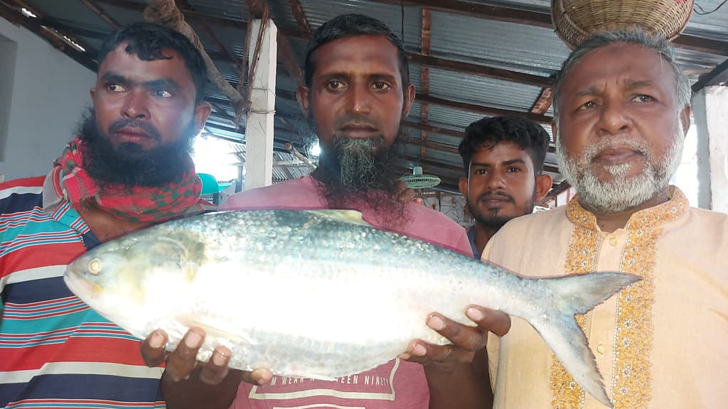 ৩ কেজির ইলিশ বিক্রি হলো প্রায় ১০ হাজার টাকায়