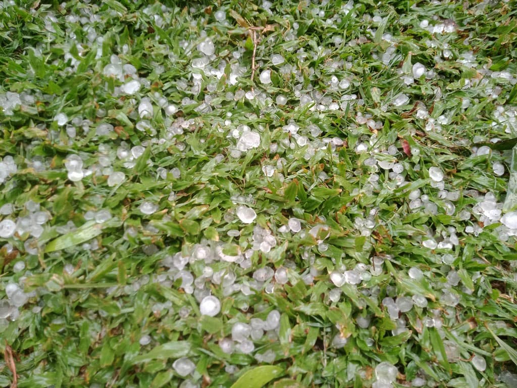 নবাবগঞ্জে শিলাবৃষ্টিতে ফসলের ক্ষতি