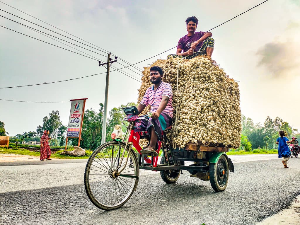 দিনের ছবি (১৩ আগস্ট, ২০২৪)