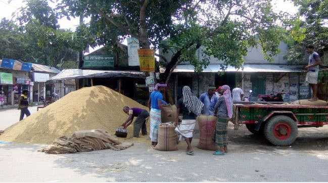 সময় বাড়িয়ে চলছে ধান-চাল সংগ্রহ