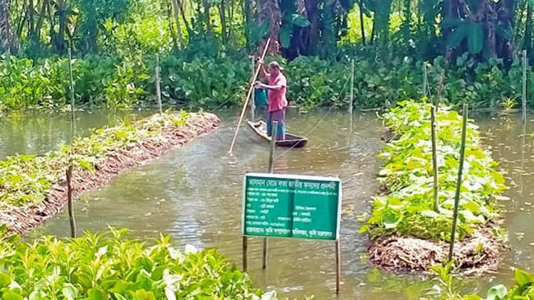 স্বপ্ন এখন বাস্তব