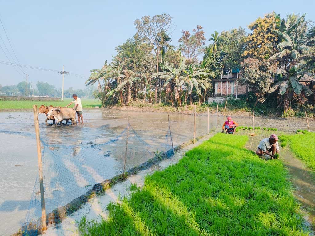 দিনের ছবি (১১ মার্চ, ২০২৪)