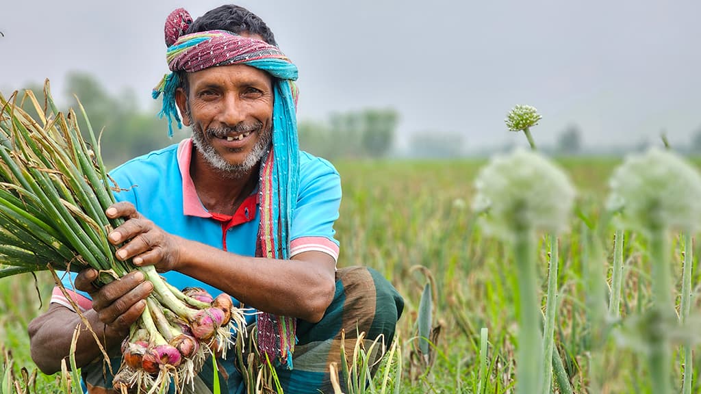 ধামইরহাটে প্রণোদনার পেঁয়াজ চাষ করে লাভবান কৃষক