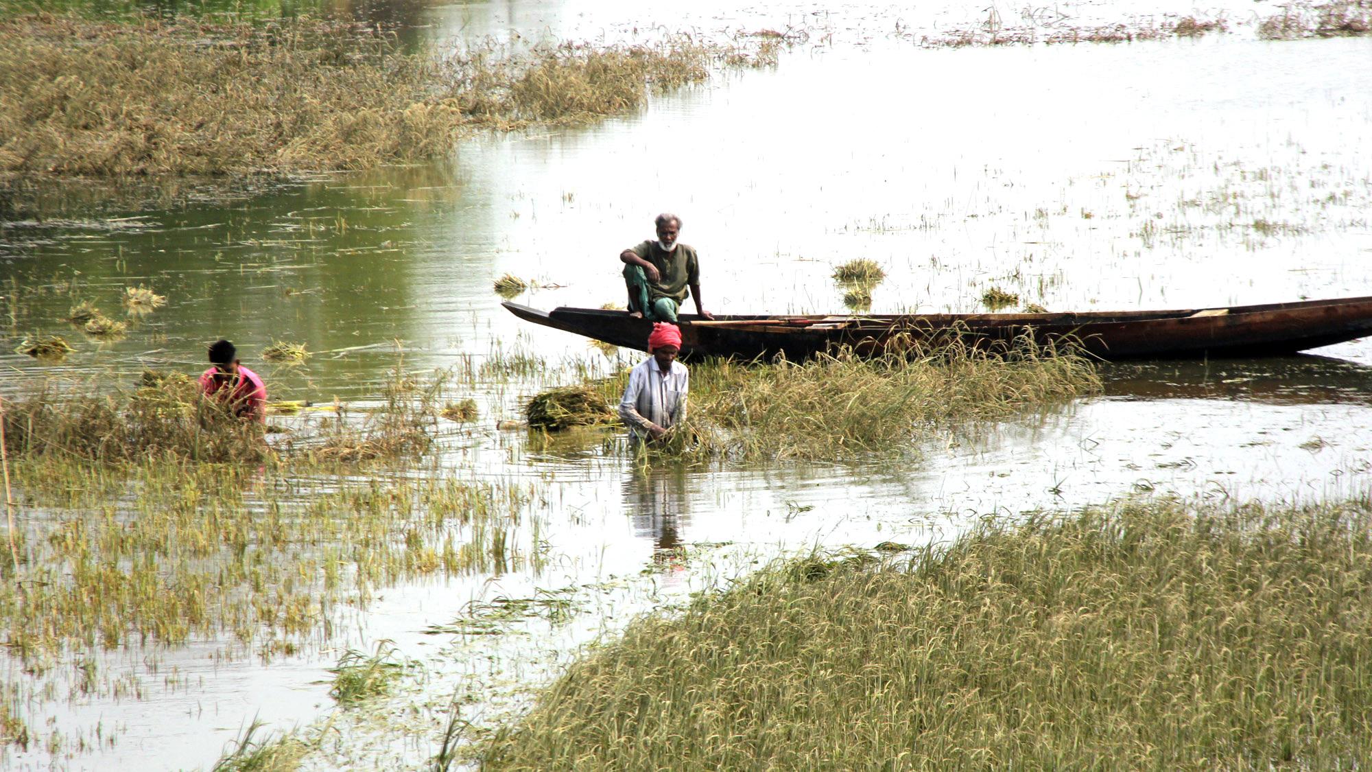 ‘স্বপ্ন পচিয়া গন্ধ বাইর অর’