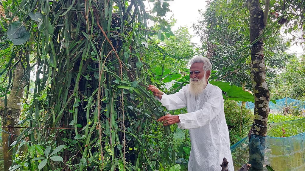 সুযোগ পেলেই চারা রোপণ করেন শওকত আলী