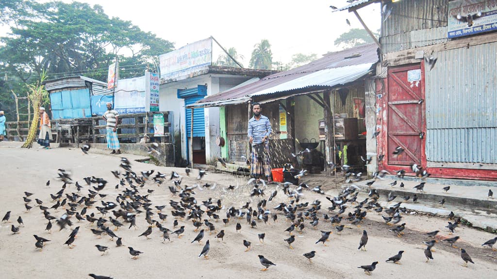 দিন শুরু নিজামের খাবারে