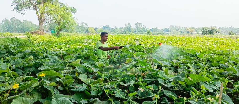 দিনের ছবি (২৬ এপ্রিল, ২০২৪)