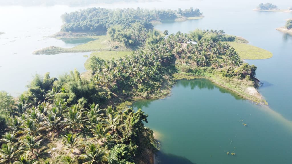 রাঙামাটির পাহাড়ে নারকেলবাগান