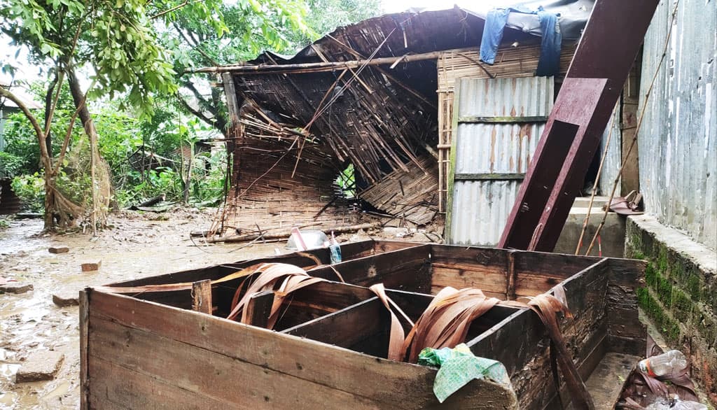 সীমান্ত এলাকায় বন্য হাতির তাণ্ডব, বসতঘর ভেঙে ধান-চাল সাবাড়