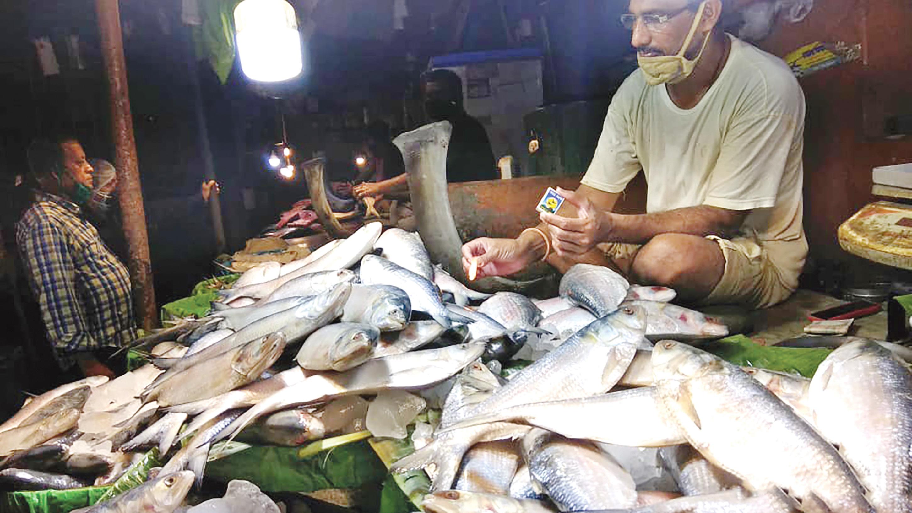 ইলিশ চলে যাচ্ছে ভারতের নদীতে