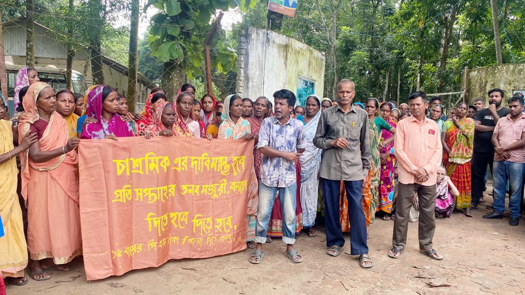 বকেয়া বেতনের দাবিতে কমলগঞ্জে চা-শ্রমিকদের মানববন্ধন