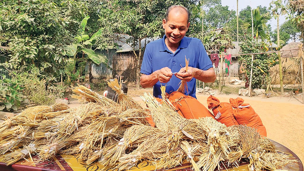 গ্রামের কুটিরেই গবেষণা, উদ্ভাবন ২৩ ধরনের ধান