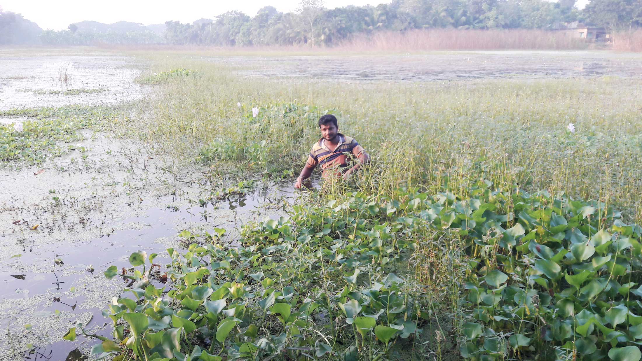 সোনা ফলা মাঠ এখন জলাভূমি