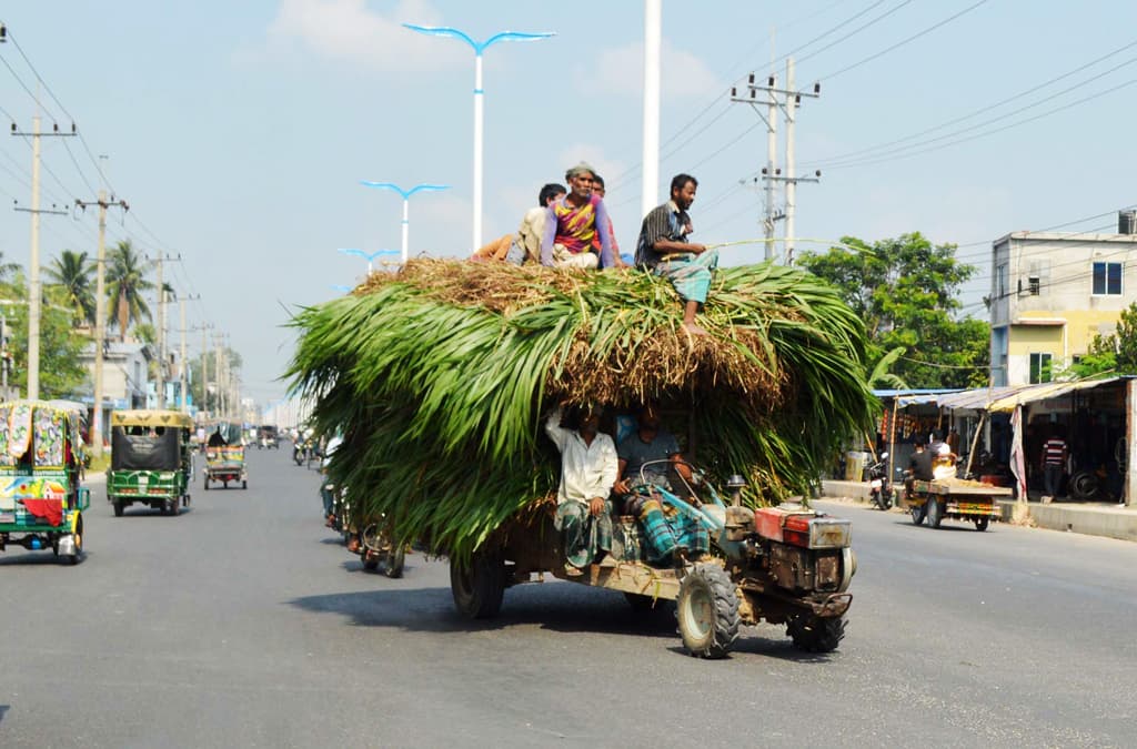 দিনের ছবি (১ নভেম্বর, ২০২৩)