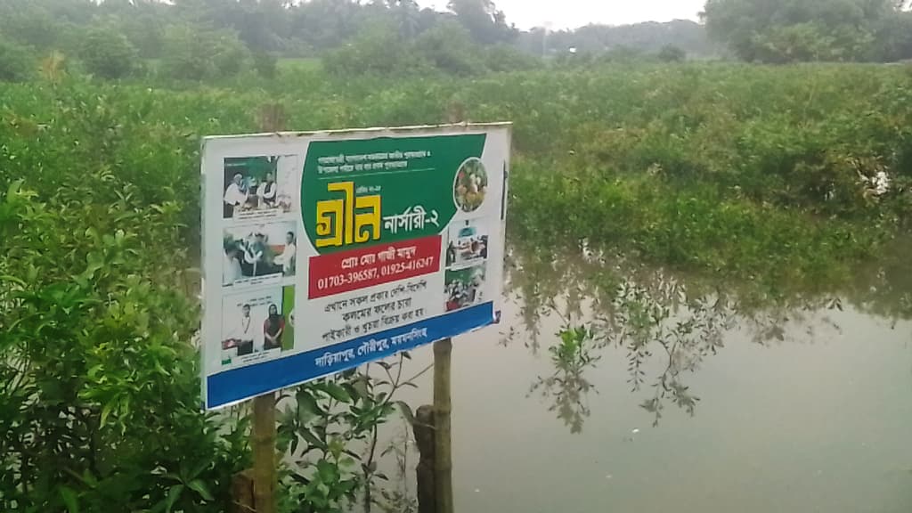 জলাবদ্ধতায় নষ্ট হয়ে যাচ্ছে জাতীয় পুরস্কারপ্রাপ্ত ‘গ্রীণ নার্সারী’