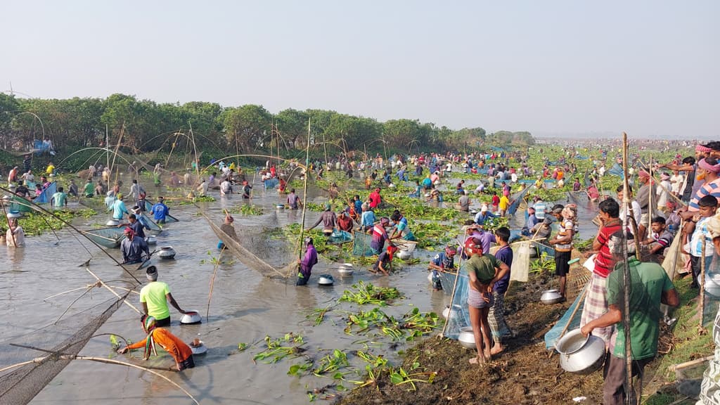 বাউত উৎসবে মাছ ধরতে মানুষের ঢল