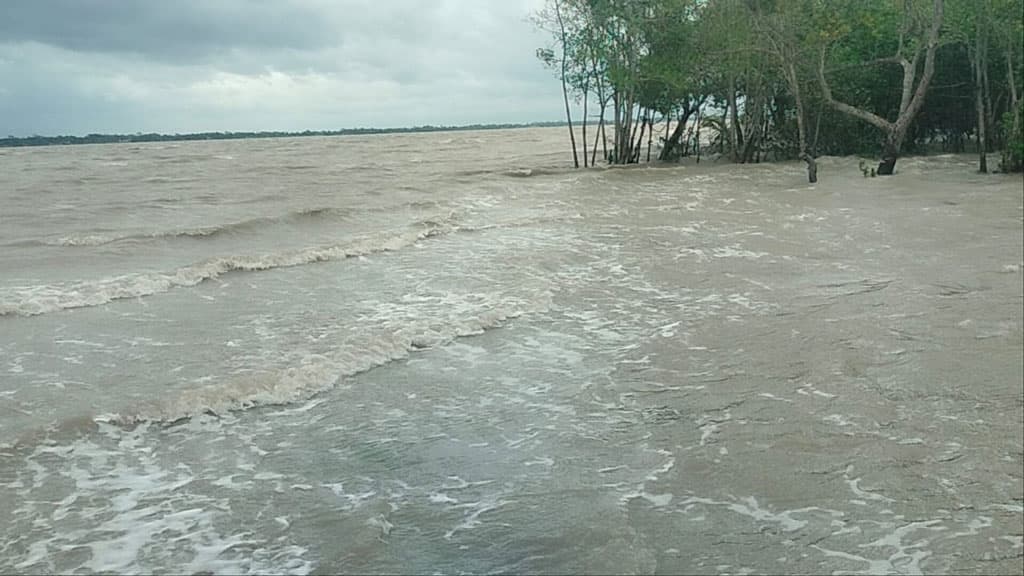 ঘূর্ণিঝড় রিমাল: বাগেরহাট উপকূলজুড়ে প্রচণ্ড বাতাস ও বৃষ্টি, বিদ্যুৎ বিচ্ছিন্ন