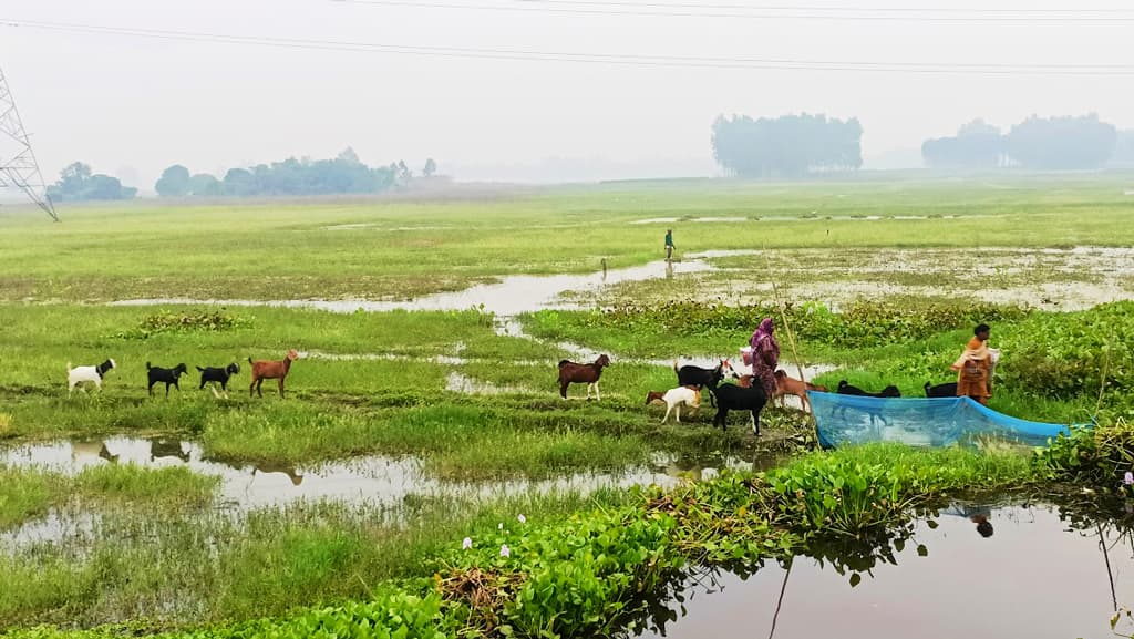 দিনের ছবি (০৬ ডিসেম্বর, ২০২৩)