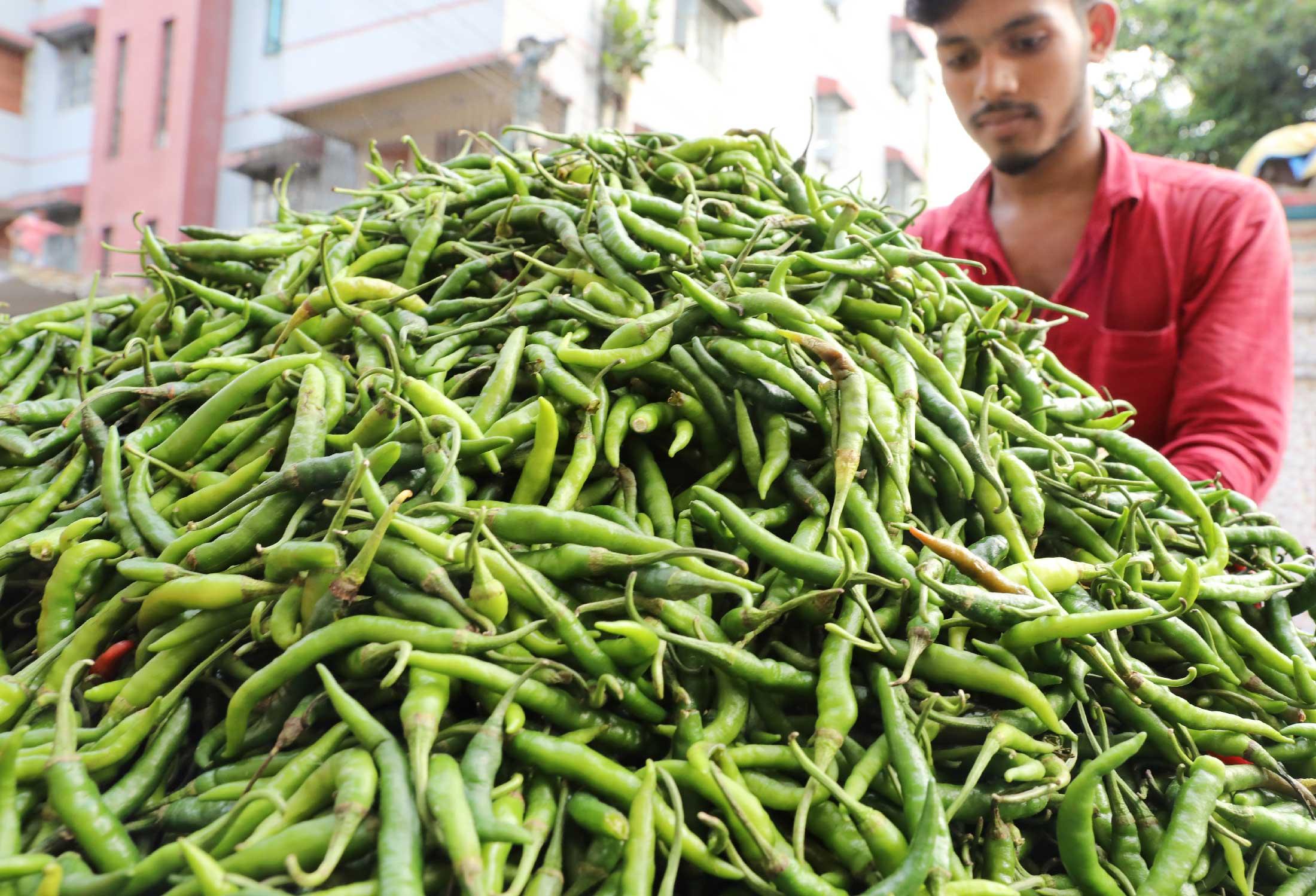 কেশবপুরে বেড়েছে কাঁচা মরিচের দাম