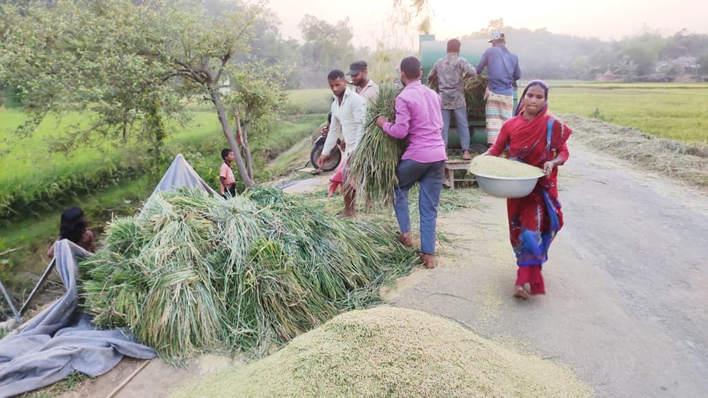 ‘কষ্টের দান আত্তির পেডো যায়, বাইদ্য অইয়া আদা পাহা দান কাডি’