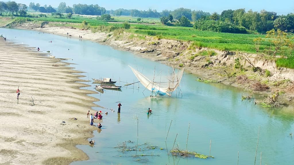 দিনের ছবি (১২ ডিসেম্বর, ২০২৩)