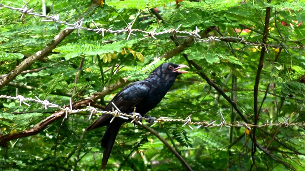 দিনের ছবি (০৫ সেপ্টেম্বর, ২০২৩)