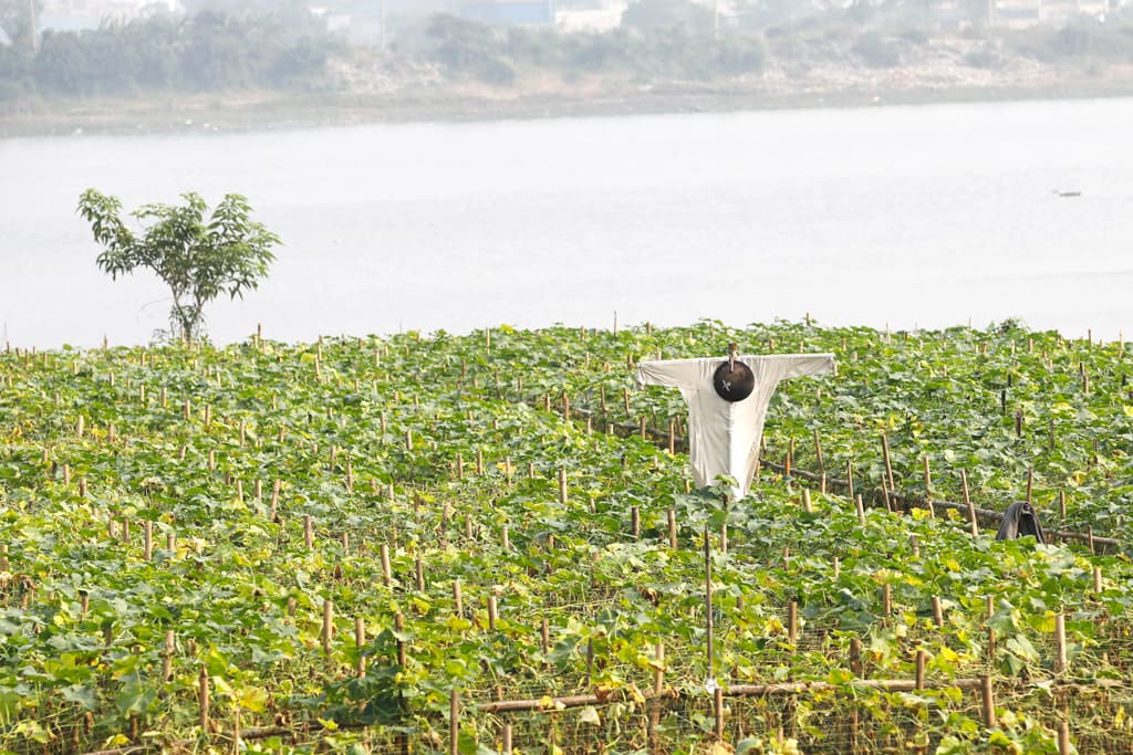 দিনের ছবি (০৮ জুন, ২০২৩)