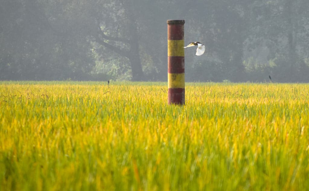 দিনের ছবি (২৮ অক্টোবর, ২০২৩)