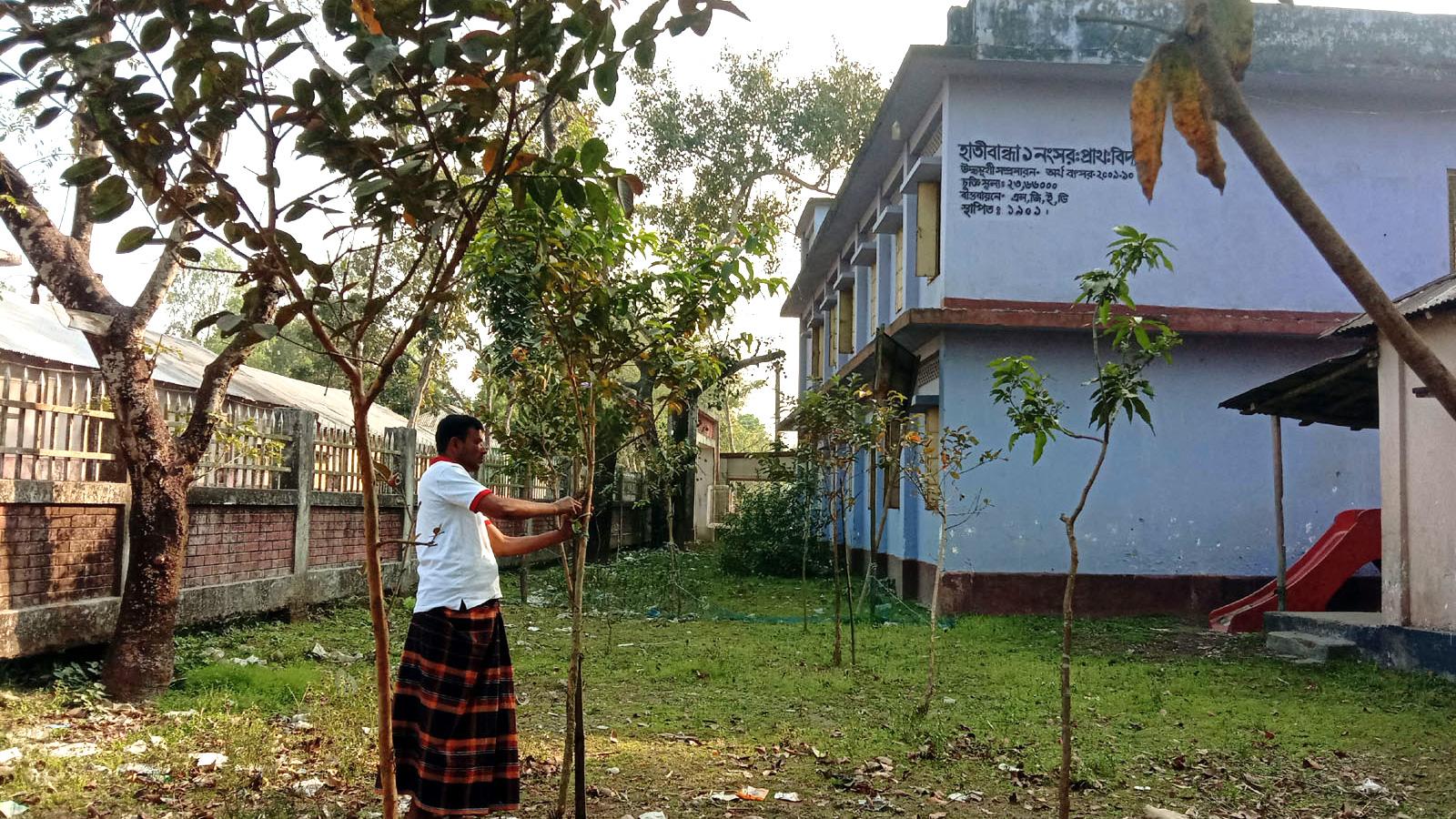 ১ লাখ ৪০ হাজার গাছ রোপণ