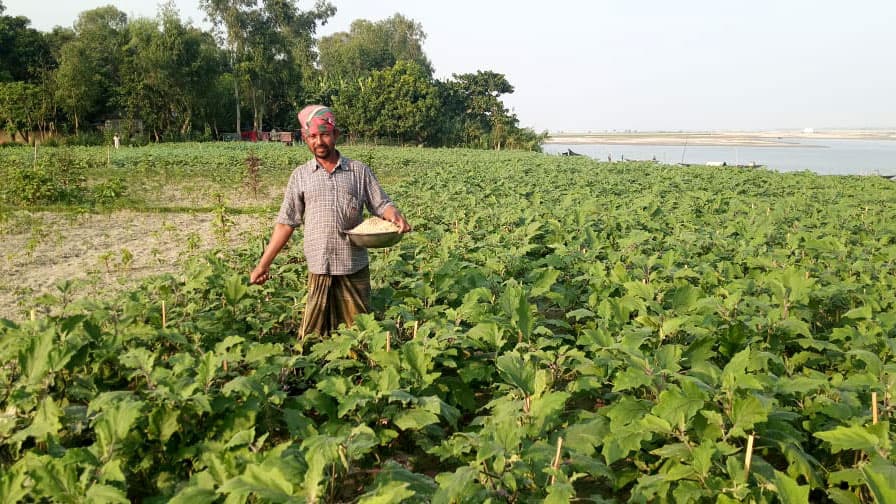 সিরাজগঞ্জে সবজির বাম্পার ফলন, দামও ভালো