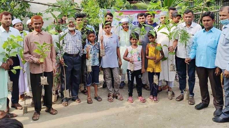 বিয়েতে আমন্ত্রিতদের গাছ উপহার