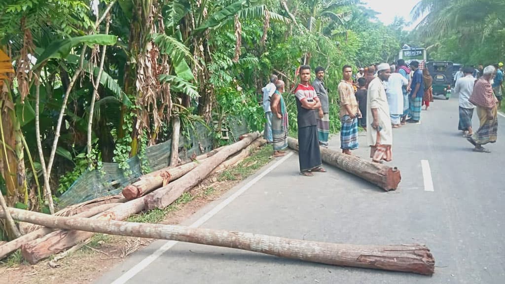 ভান্ডারিয়ায় পিকআপ ভ্যানের ধাক্কায় ২ পথচারী নিহত, আহত ৪ 