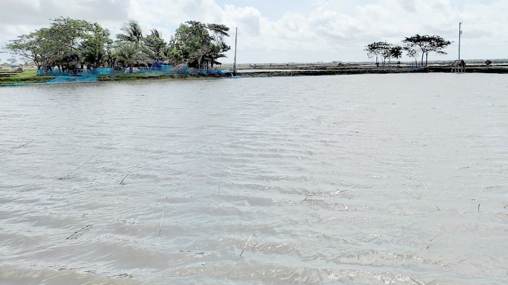 নারীকে পানিতে চুবিয়ে হত্যাচেষ্টাসহ বাসাবাড়ি ভাঙচুরের অভিযোগ, গ্রেপ্তার ৪ 