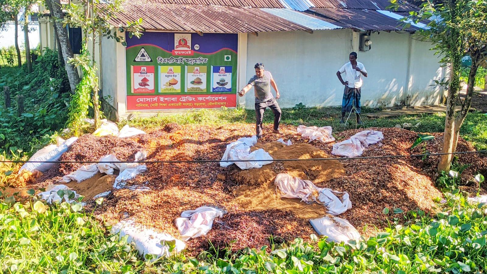 বড়লেখায় রং মিশিয়ে তৈরি হয় গুঁড়া মরিচ, ২ টন জব্দ