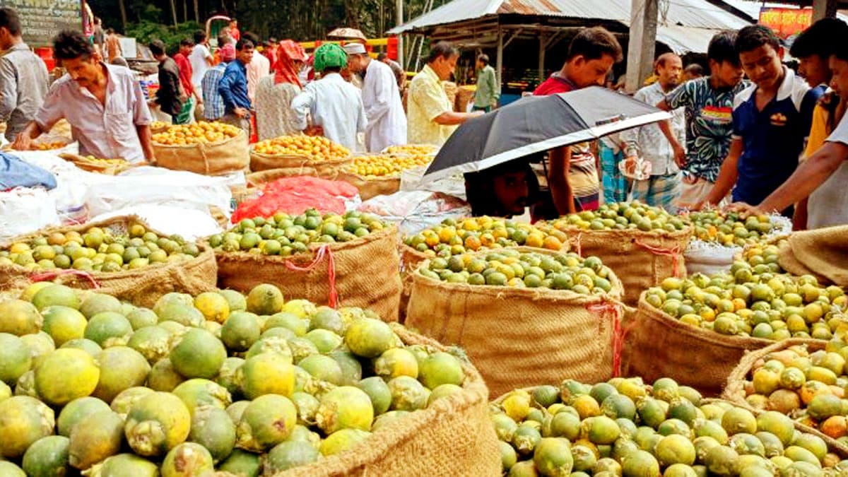 সুপারির ফলন ও দাম ভালো