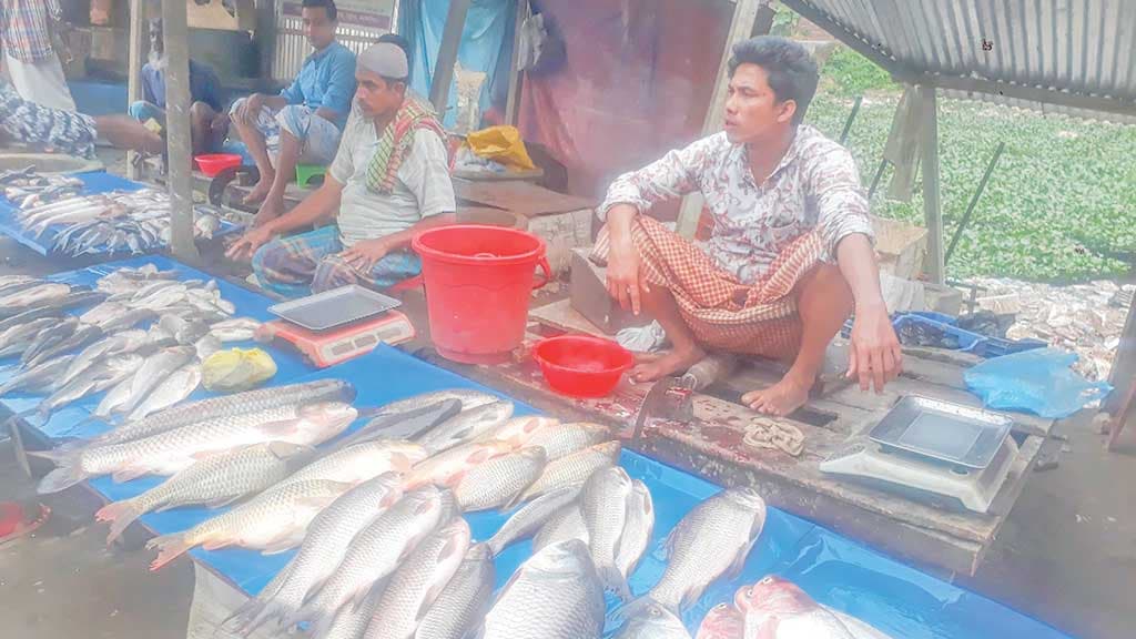 দাম বেড়েছে পেঁয়াজ-আলুর কমেছে মাছ-মুরগির