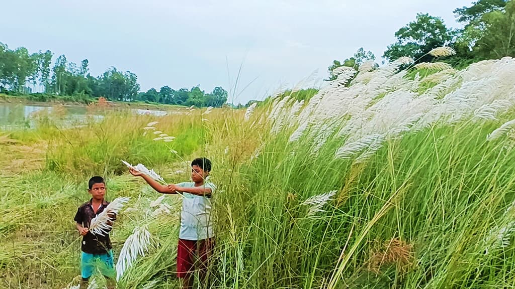 দিনের ছবি (২২ সেপ্টেম্বর, ২০২৪)