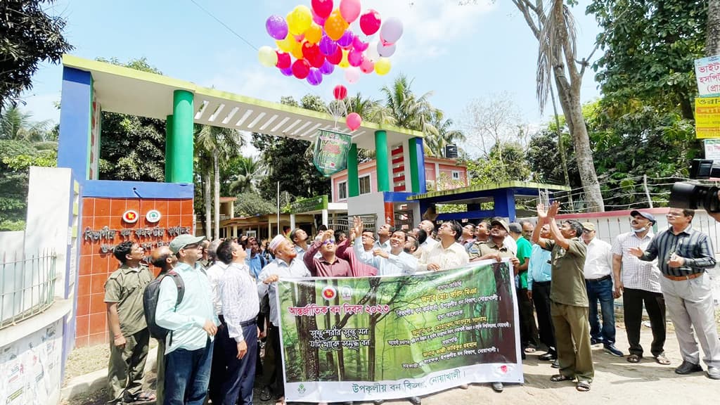 ‘জলবায়ু পরিবর্তনে বনের ভূমিকা বেশি’